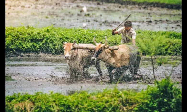 ଆସନ୍ତା ୨୯ ତାରିଖରୁ ପୁରୀରୁ ଆରମ୍ଭ ହେବ “ବିକଶିତ କୃଷି ସଂକଳ୍ପ ଅଭିଯାନ” । ଆସନ୍ତା ୨୯ ତାରିଖରୁ ପୁରୀରୁ ଆରମ୍ଭ ହେବ “ବିକଶିତ କୃଷି ସଂକଳ୍ପ ଅଭିଯାନ” ।