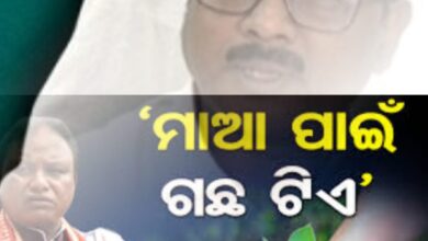 ଗଛ ଲଗାଇବା ଟାର୍ଗେଟ ପୁରା କଲେନି ବୋଲି ବନ୍ଦ ହେଲା ଦରମା।