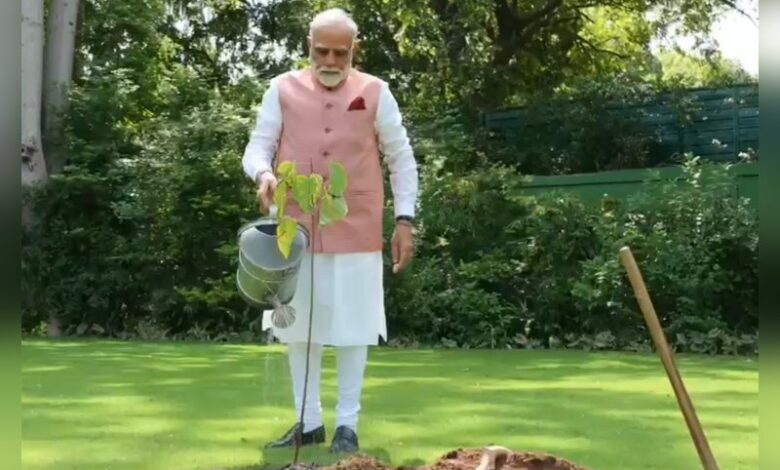 ପ୍ରଧାନମନ୍ତ୍ରୀ ନରେନ୍ଦ୍ର ମୋଦି ଙ୍କ ୭୫ ତମ ଜନ୍ମ ଦିନ ଅବସରରେ ଓଡ଼ିଶାର ଲାଗିବ ୭୫ ହଜାର ବୃକ୍ଷ l ପ୍ରଧାନମନ୍ତ୍ରୀ ନରେନ୍ଦ୍ର ମୋଦି ଙ୍କ ୭୫ ତମ ଜନ୍ମ ଦିନ ଅବସରରେ ଓଡ଼ିଶାର ଲାଗିବ ୭୫ ହଜାର ବୃକ୍ଷ l
