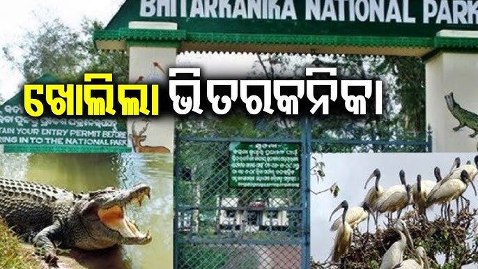 ଆଜି ଖୋଲିଚି ଭିତରକନିକା ଜାତୀୟ ଉଦ୍ୟାନ l ଆଜି ଖୋଲିଚି ଭିତରକନିକା ଜାତୀୟ ଉଦ୍ୟାନ l