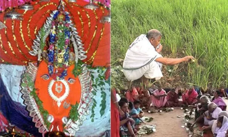 ଆଜି ଆଜି ନୂଆଁଖାଇ ତିହାର ,ପୂରା ପଶ୍ଚିମ ଓଡ଼ିଶା ଉତ୍ସବମୁଖର ହୋଇପଡ଼ିଛି ।