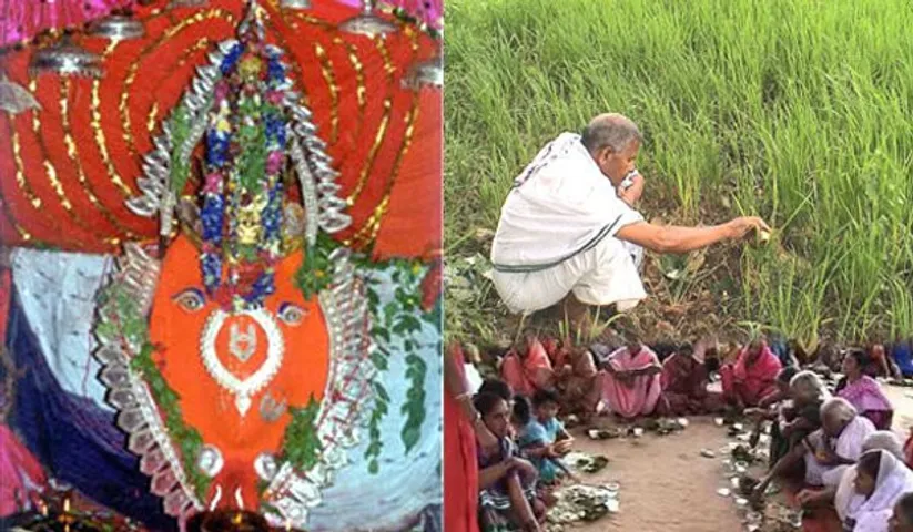 ଆଜି ଆଜି ନୂଆଁଖାଇ ତିହାର ,ପୂରା ପଶ୍ଚିମ ଓଡ଼ିଶା ଉତ୍ସବମୁଖର ହୋଇପଡ଼ିଛି ।